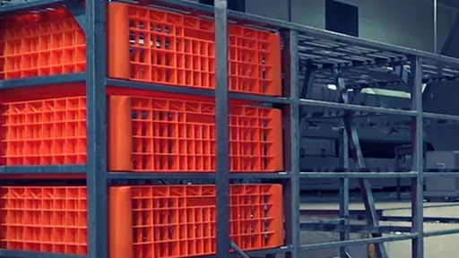 Rozładunek drobiu bez stresu - poznaj innowacyjne rozwiązania technologiczne